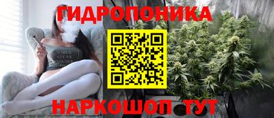 ГАЛЛЮЦИНОГЕННЫЕ ГРИБЫ Будённовск