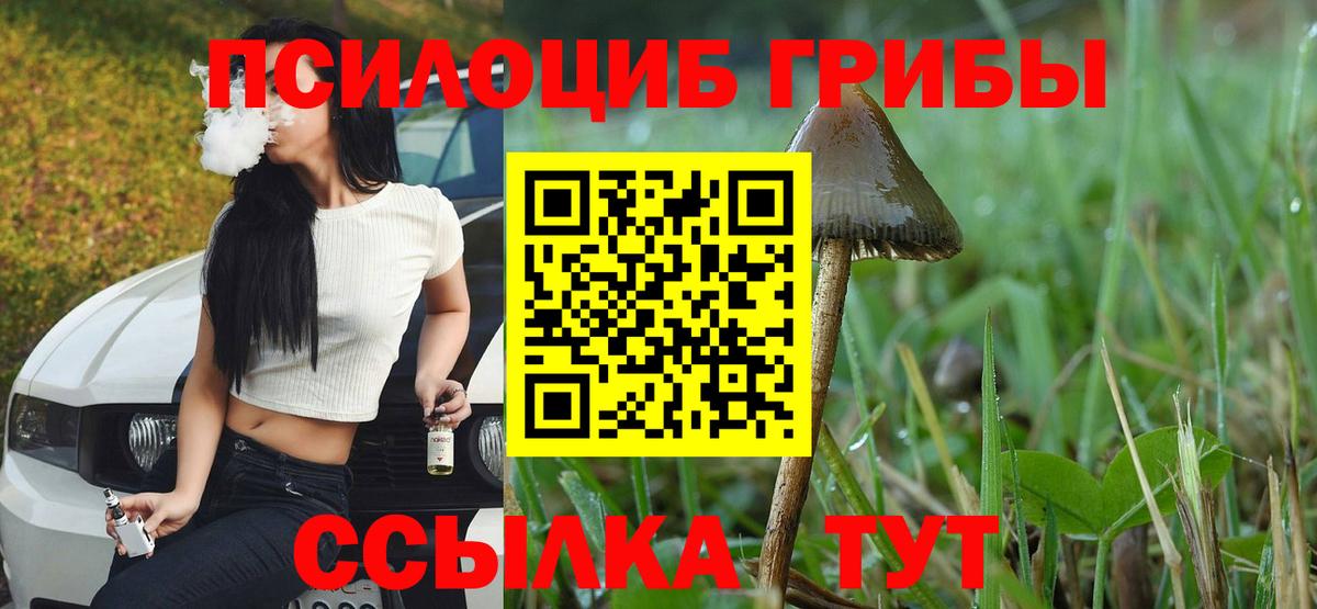 Галлюциногенные грибы мухоморы Сосновый Бор