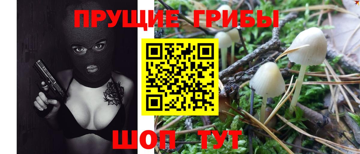 Псилоцибиновые грибы GOLDEN TEACHER  Вход с VPN  Сосновый Бор 